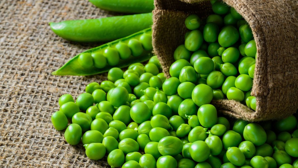 Green-pea